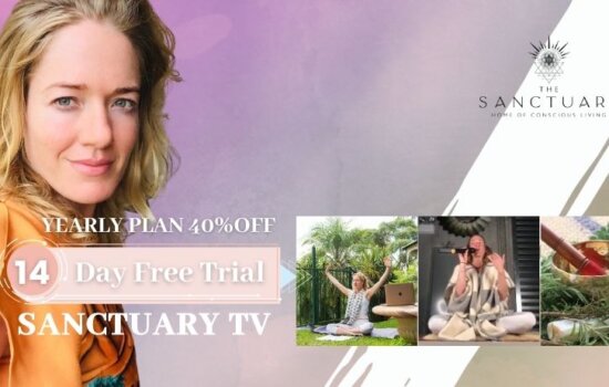 The Sanctuary - TV Web Page banner
