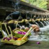 Becoming Magnetic Retreat in Ubud Bali - Image 18